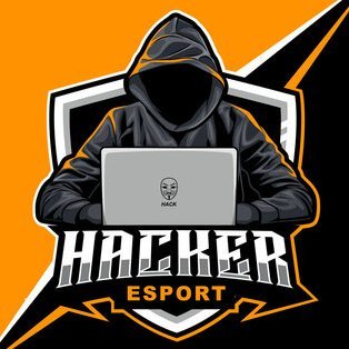 Experto en seguridad informática